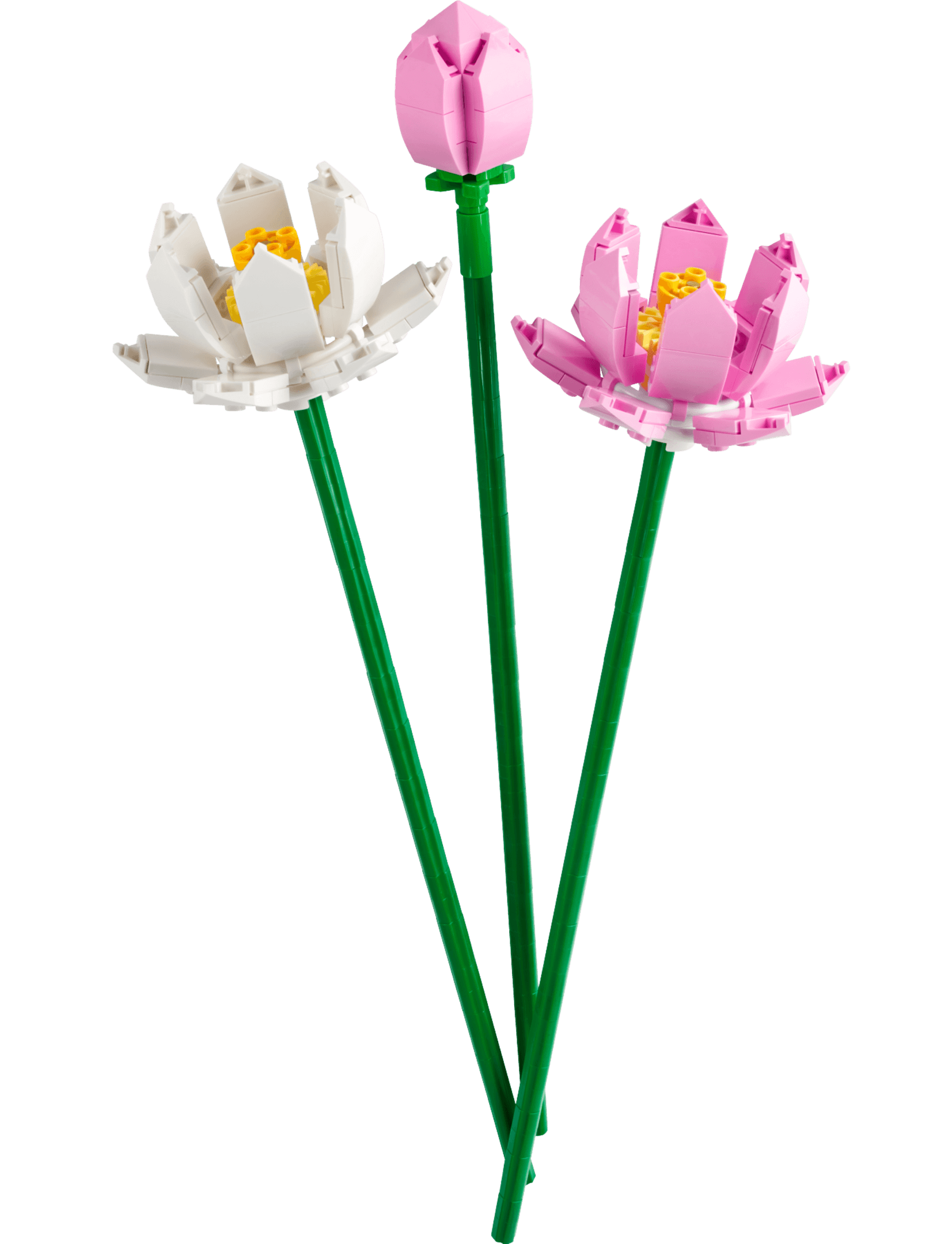LEGO 40647 Lotus Flowers
