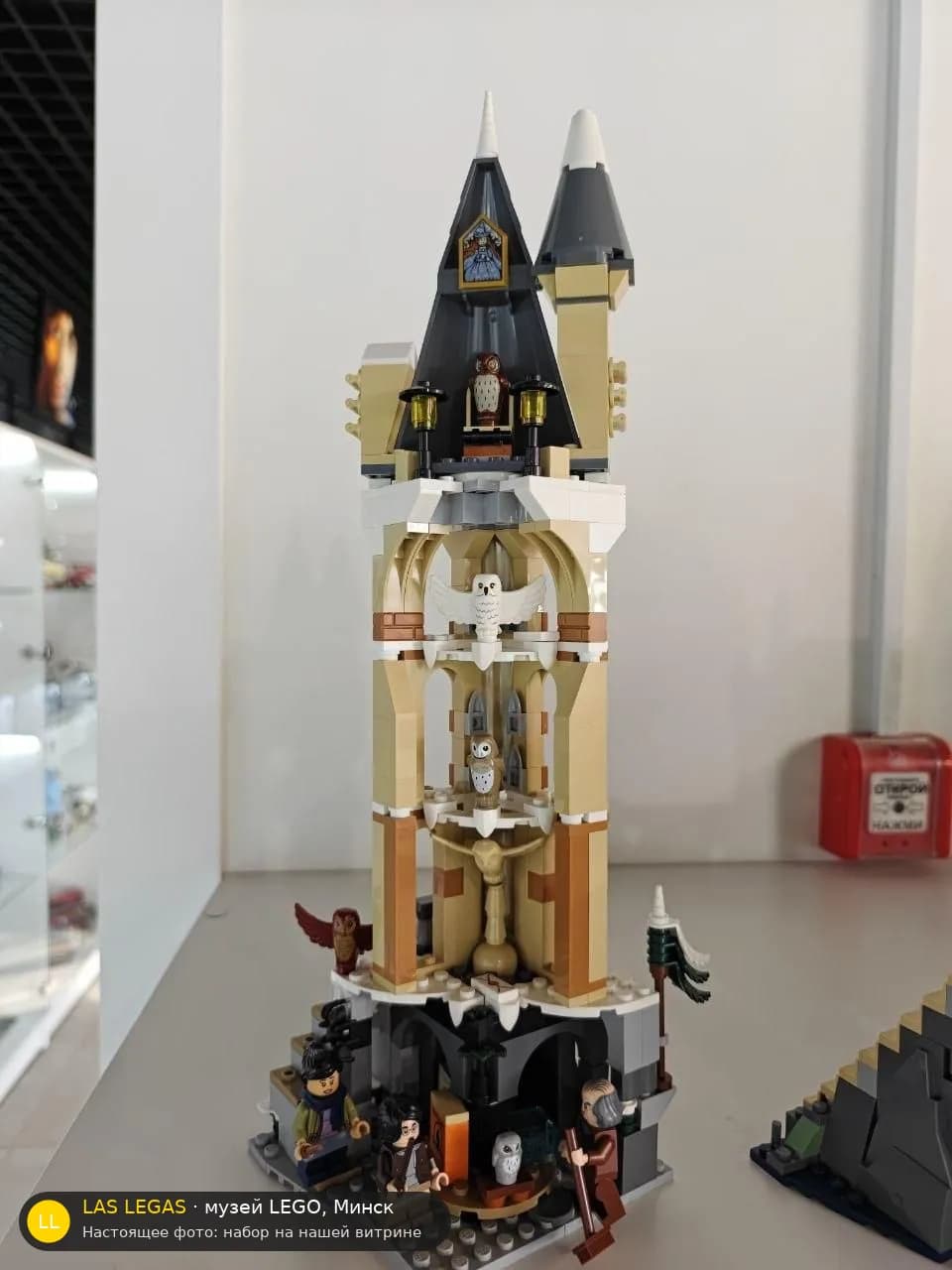 LEGO 76430 Совиная башня Хогвартса (Hogwarts Castle Owlery) на витрине музея Las Legas