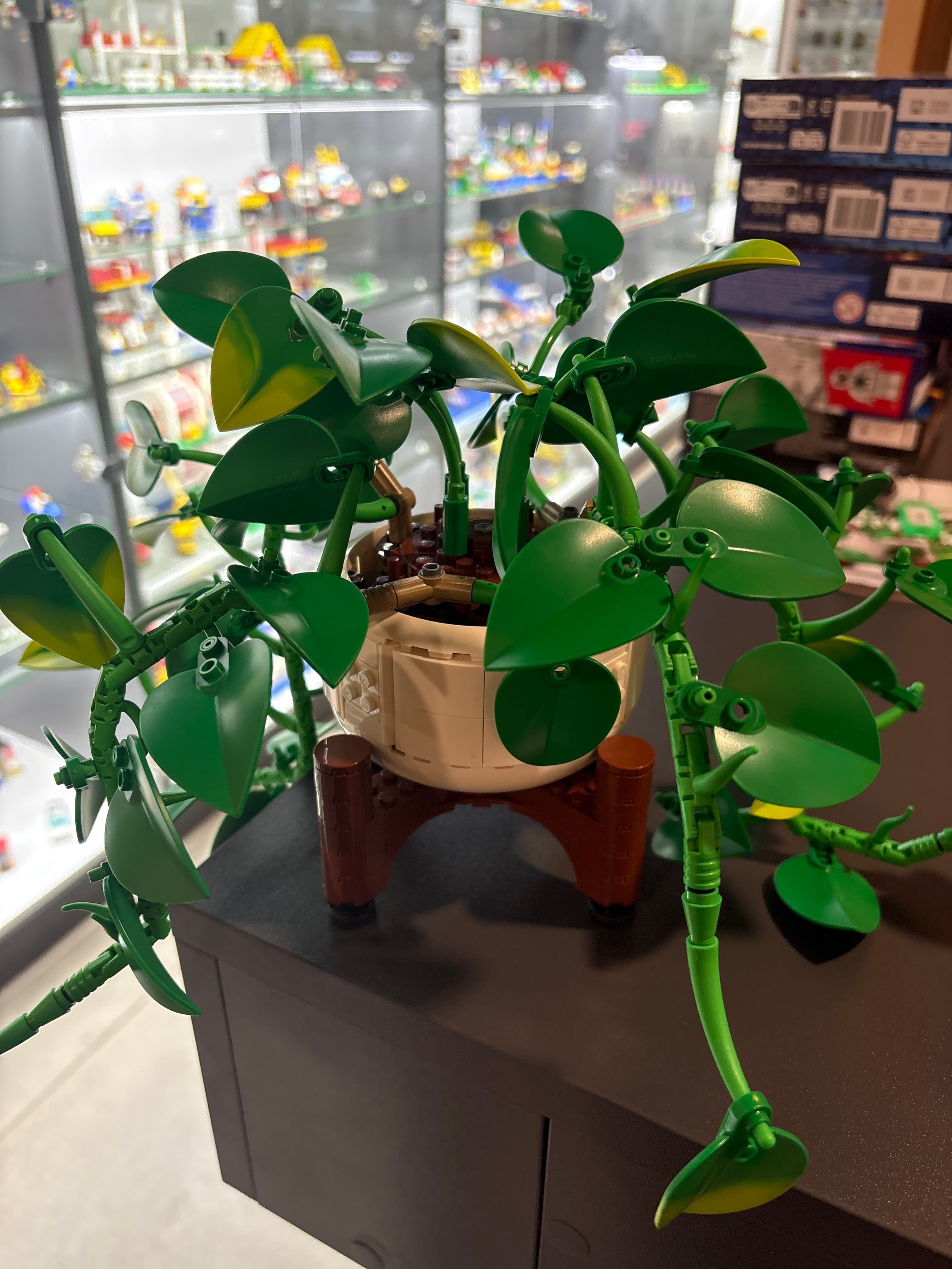 LEGO 11512 Hanging Golden Pothos