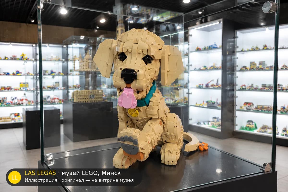 Иллюстрация: LEGO 11384 Золотистый ретривер, щенок на витрине в зале музея Las Legas