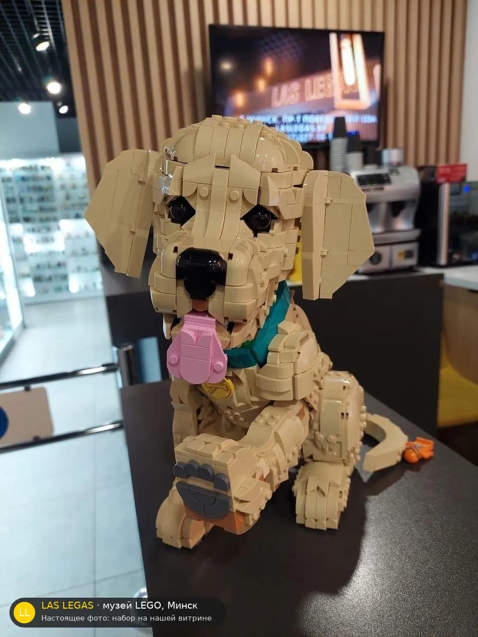 LEGO 11384 Золотистый ретривер, щенок (Golden Retriever Puppy) на витрине музея Las Legas