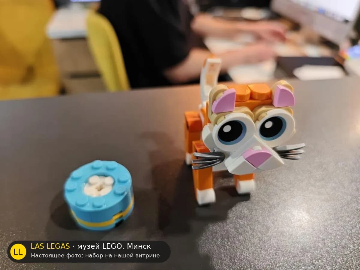 LEGO 30714 Оранжевый кот (Orange Cat) на витрине музея Las Legas
