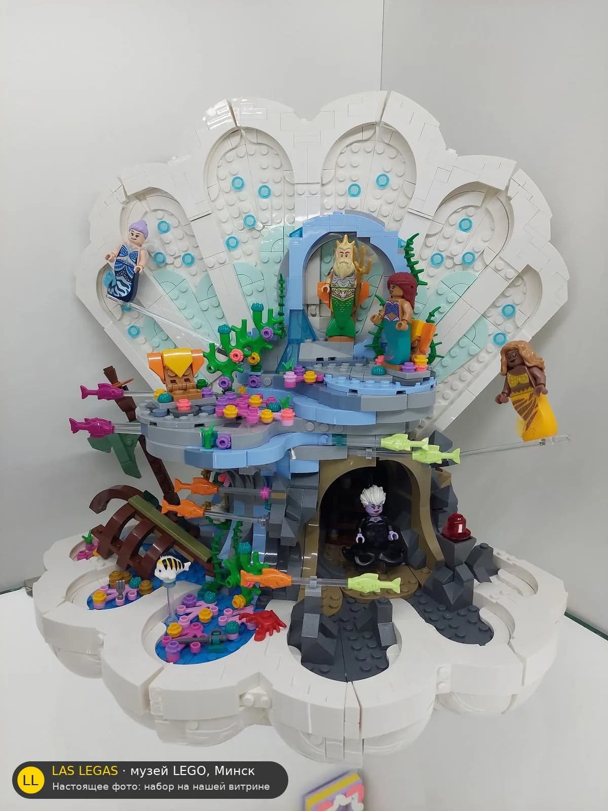 LEGO 43225 Королевская раковина Русалочки (The Little Mermaid Royal Clamshell) на витрине музея Las Legas